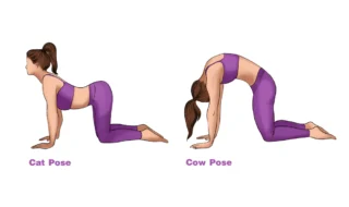 Cat-Cow-Stretch